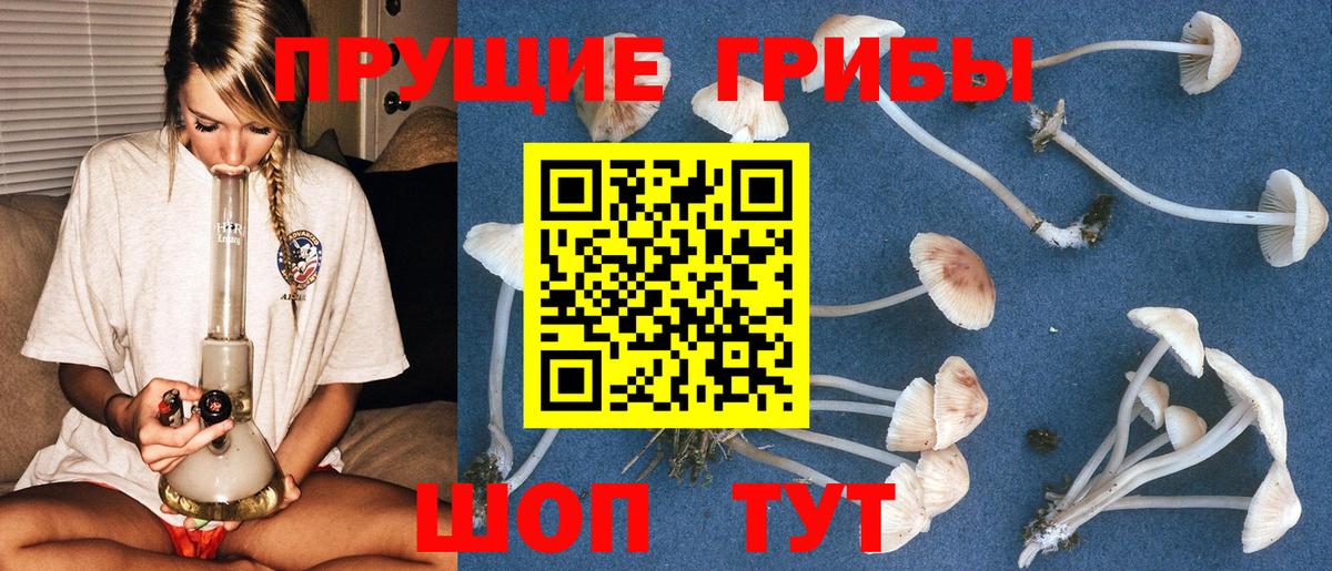 Керчь  Галлюциногенные грибы мицелий  Вход с VPN 