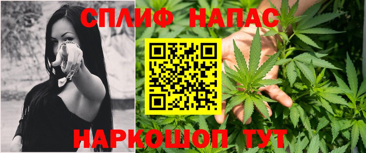 Конопля сатива Керчь